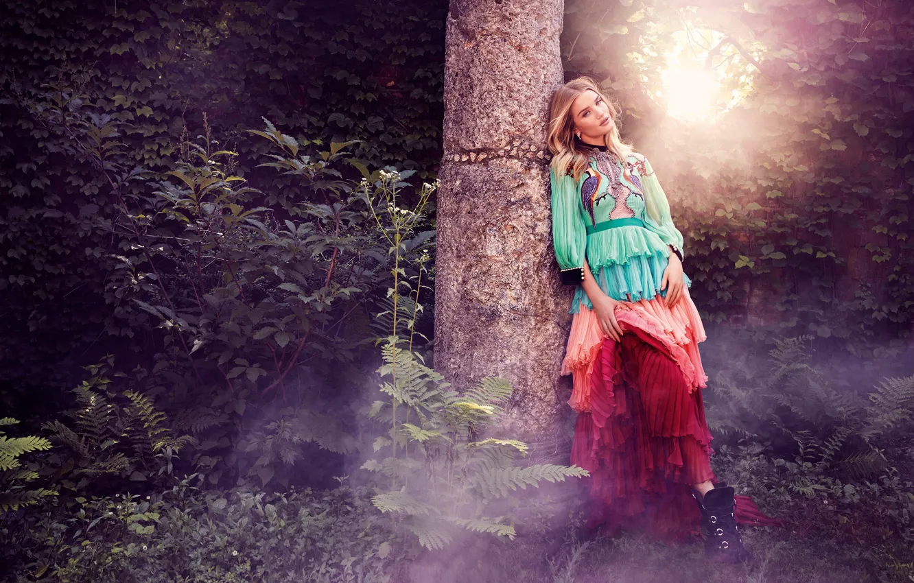 Photo wallpaper the sun, wall, model, garden, dress, hairstyle, blonde, is