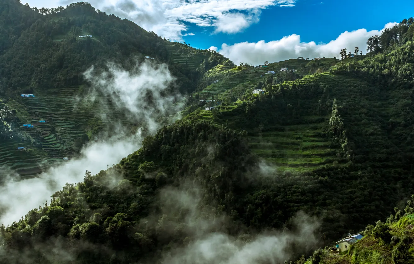 Photo wallpaper forest, clouds, mountains, India, plantation, Mussoorie