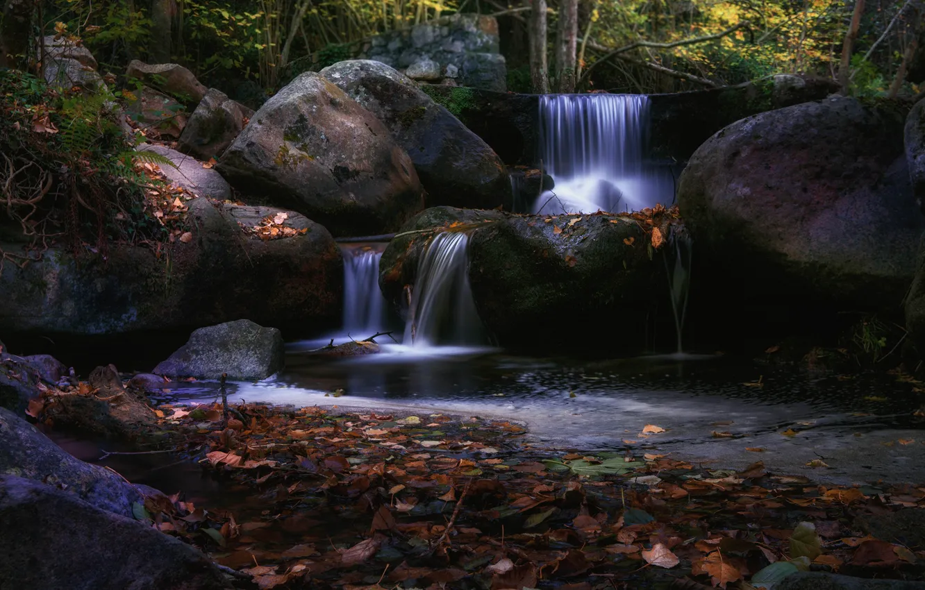 Photo wallpaper autumn, forest, leaves, stones, thickets, waterfall, falling leaves, boulders