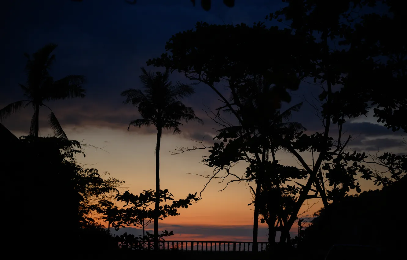 Photo wallpaper sea, sunset, palm trees, Thailand, Thailand, sea, sunset, palms