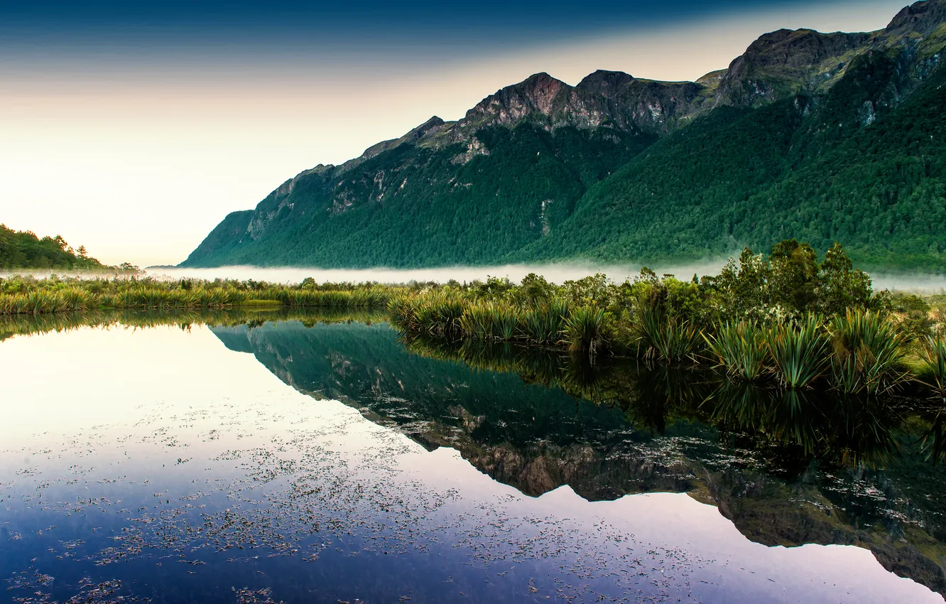 Photo wallpaper water, fog, lake, reflection, plants, haze, mountains.