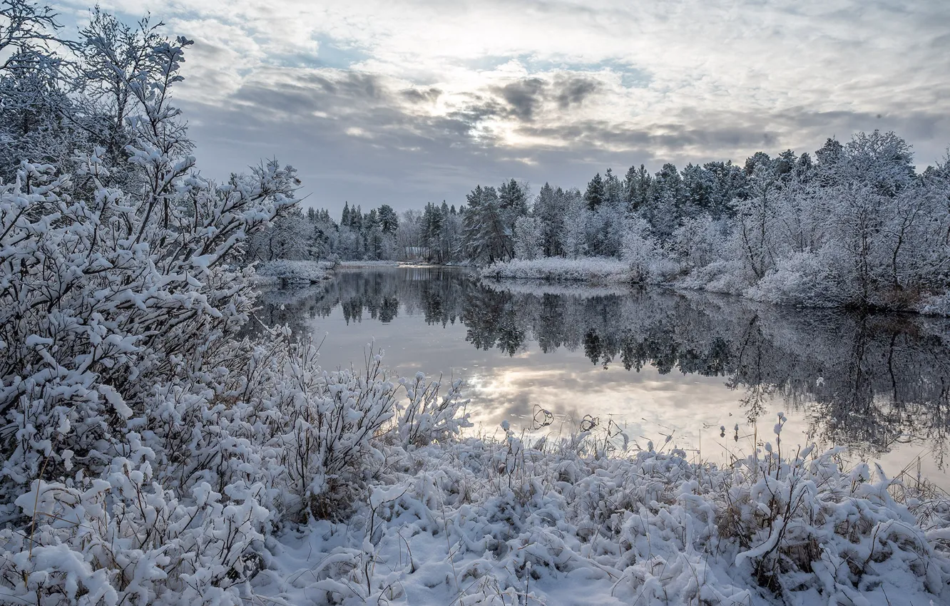Photo wallpaper winter, forest, snow, lake, reflection, the bushes, Finland, Finland