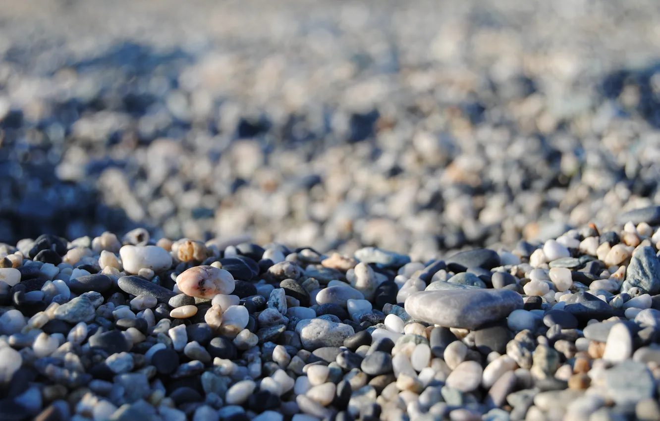 Photo wallpaper sea, stones, many stones