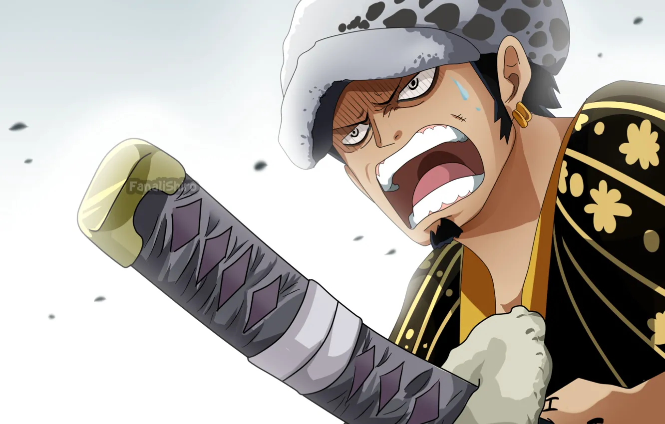 Photo wallpaper hat, sword, guy, One Piece, Creek, One Piece