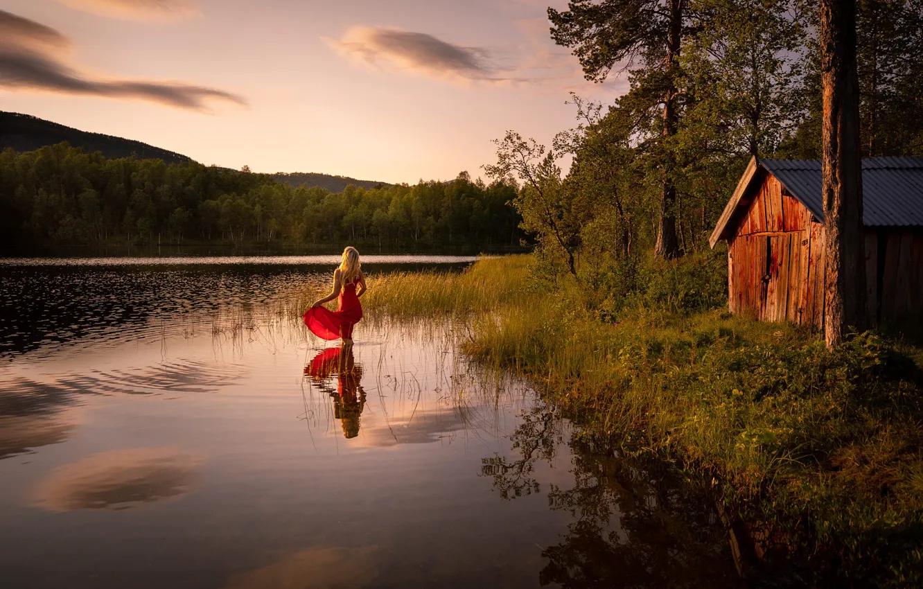 Photo wallpaper greens, forest, summer, the sky, grass, girl, clouds, trees