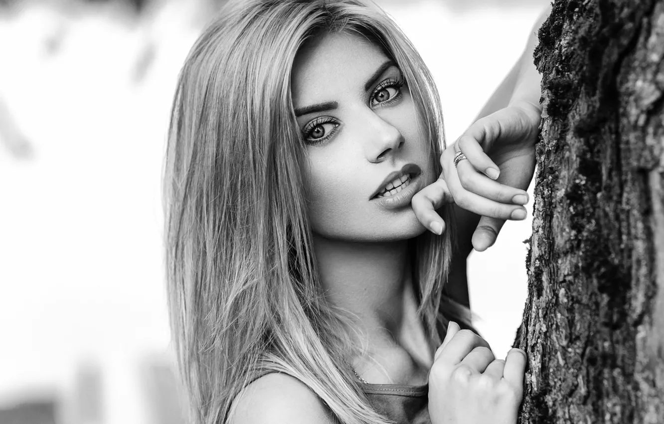 Photo wallpaper look, girl, tree, portrait, makeup, hairstyle, blonde, black and white