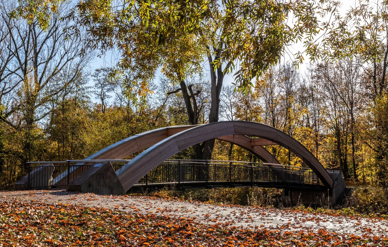 Photo wallpaper autumn, leaves, the sun, trees, yellow, bridge, Park, Germany