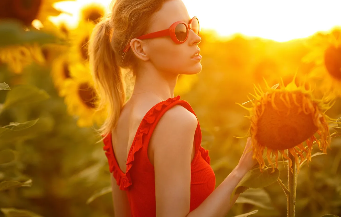Photo wallpaper girl, sunflowers, glasses, Maria Amelina, Ivan Vedernikov