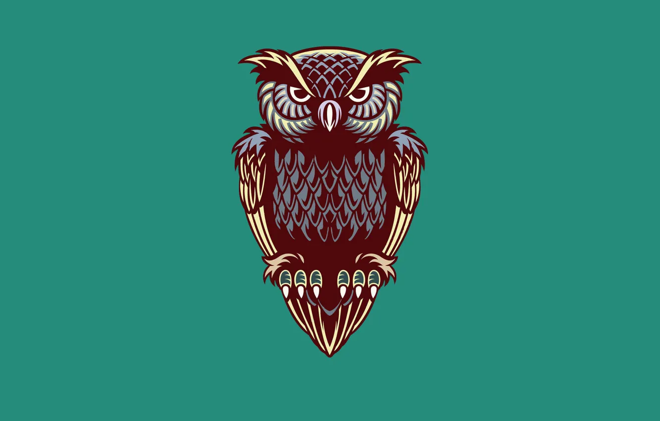 Photo wallpaper owl, bird, minimalism, owl
