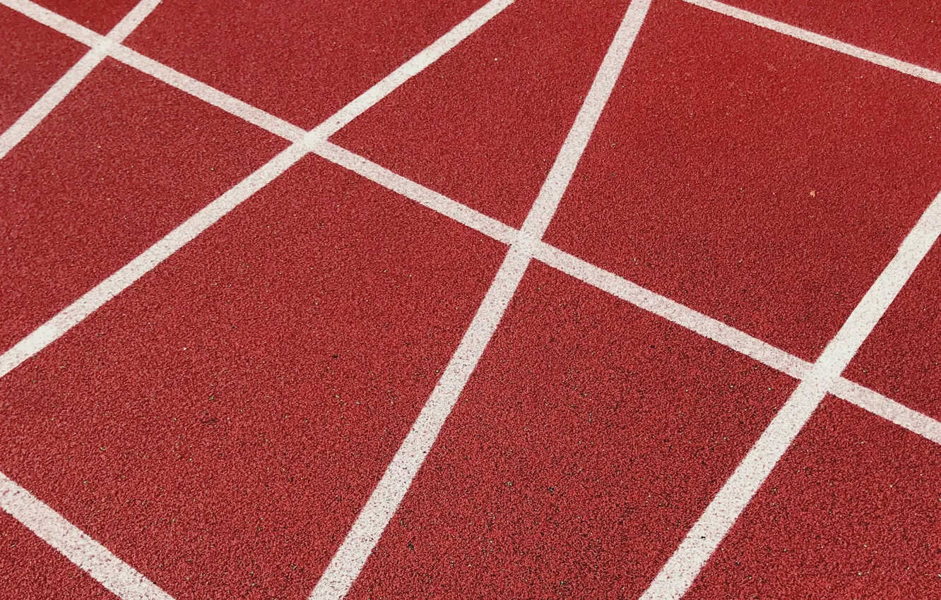 Photo wallpaper field, line, strip, markup