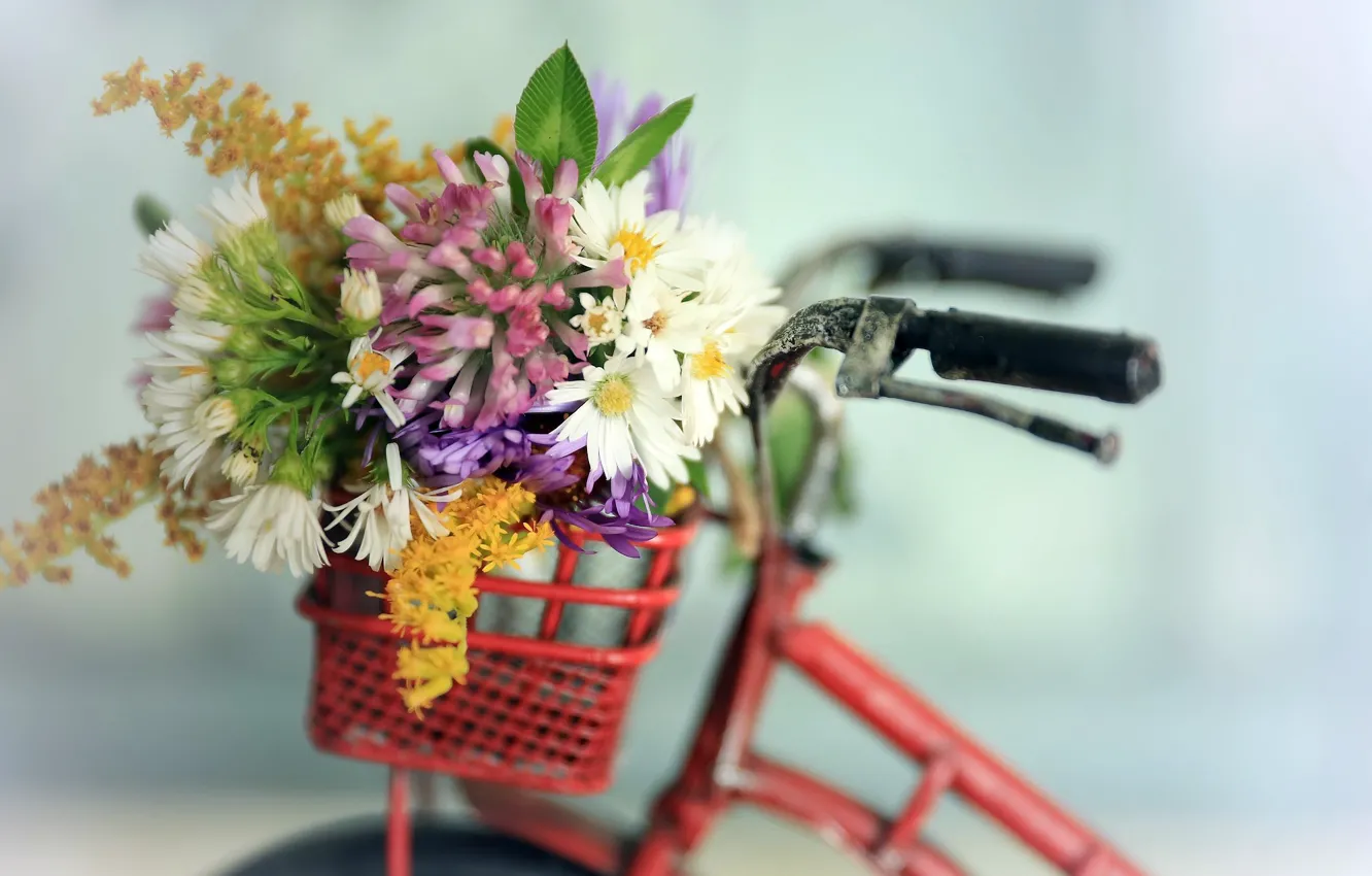 Photo wallpaper flowers, bike, background