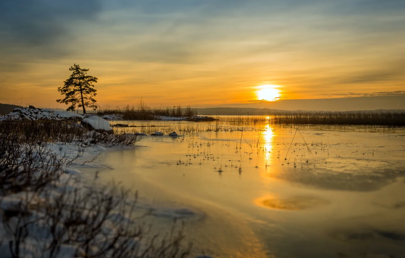 Photo wallpaper cold, winter, sunset, nature, lake