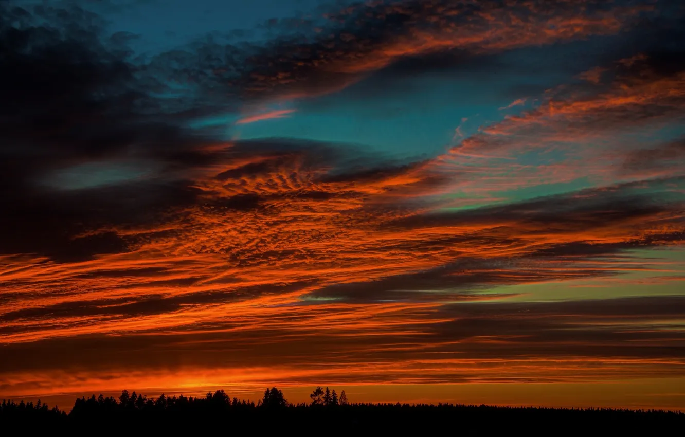 Photo wallpaper the sky, night, nature, obloka