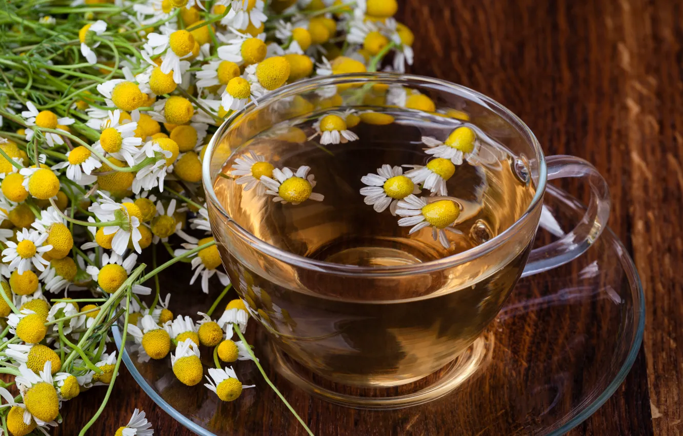 Photo wallpaper flowers, tea, Daisy, drink