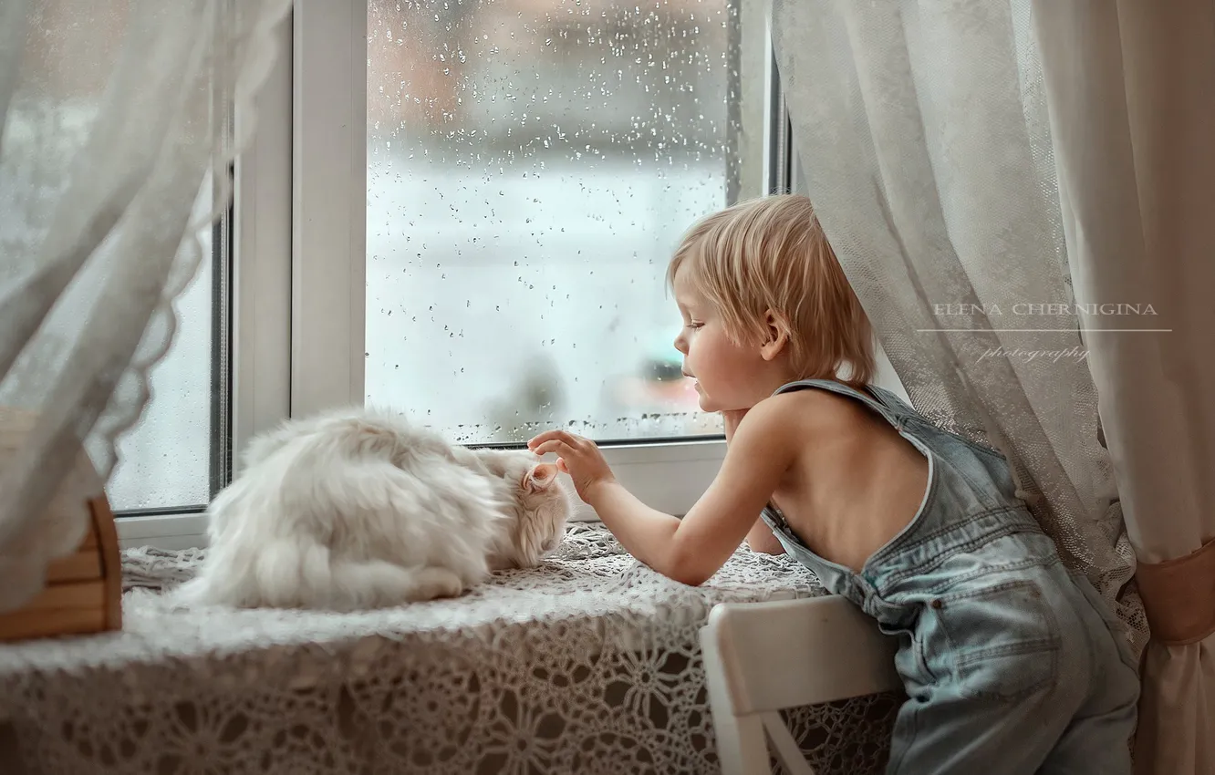 Photo wallpaper cat, cat, boy, window, Elena Chernihiv