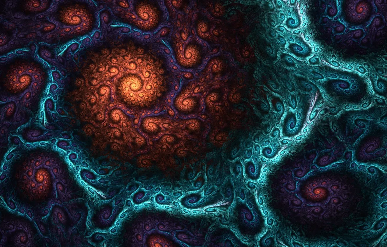 Photo wallpaper curls, pattern, fractal