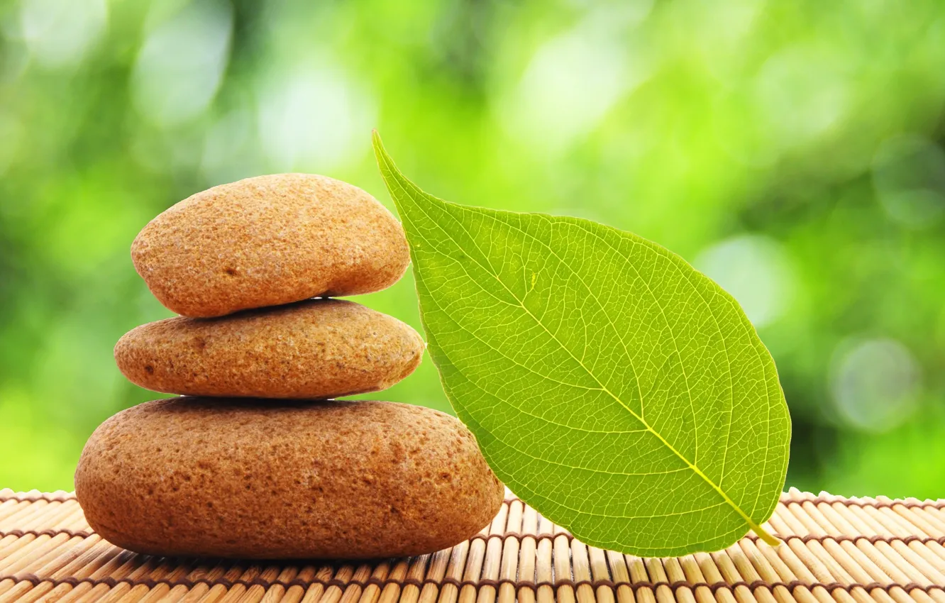 Photo wallpaper leaves, stones, background