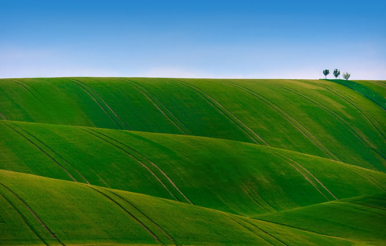 Photo wallpaper field, the sky, grass, trees, hills