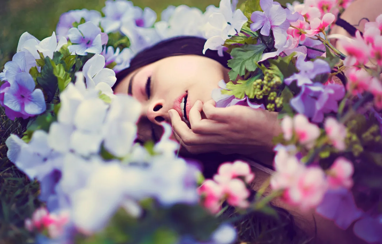 Photo wallpaper girl, flowers, face, hands, brunette, Rachel Dashae