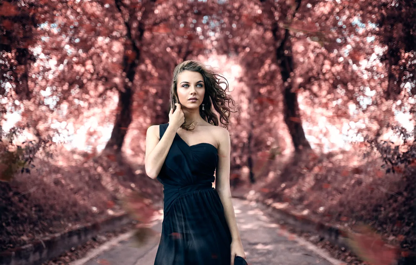 Photo wallpaper autumn, makeup, the beauty, Alessandro Di Cicco, Touch me gently