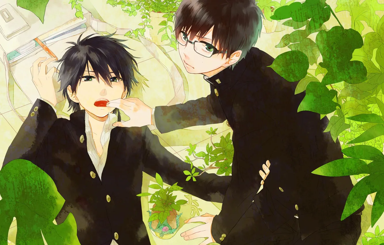 Photo wallpaper brothers, Ao no Exorcist, Blue exorcist, Yukio Okumura, Rin Okumura