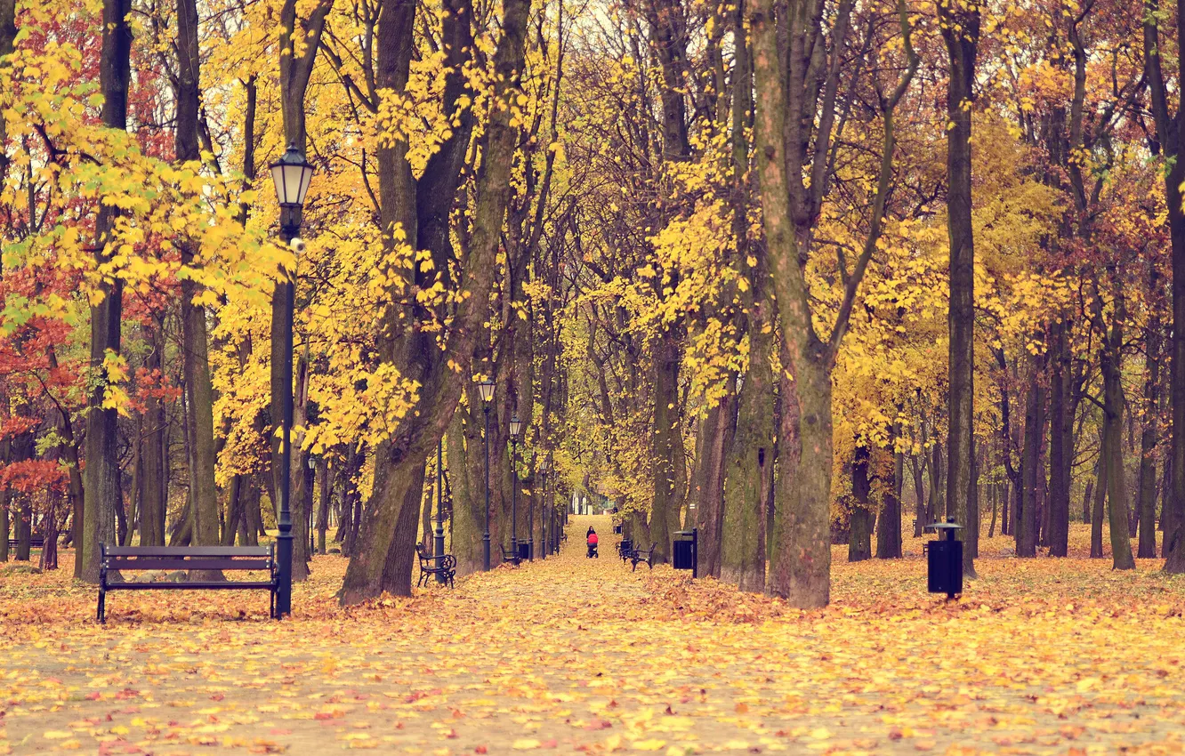 Photo wallpaper autumn, leaves, trees, Park, the way, child, benches, mother
