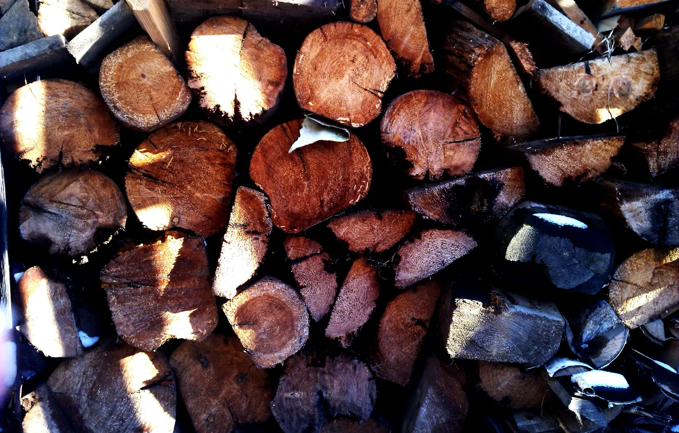 Photo wallpaper the sun, nature, wood
