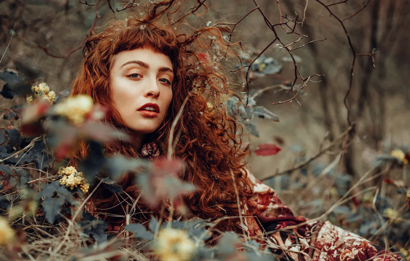 Photo wallpaper look, girl, branches, face, makeup, red, curls, redhead