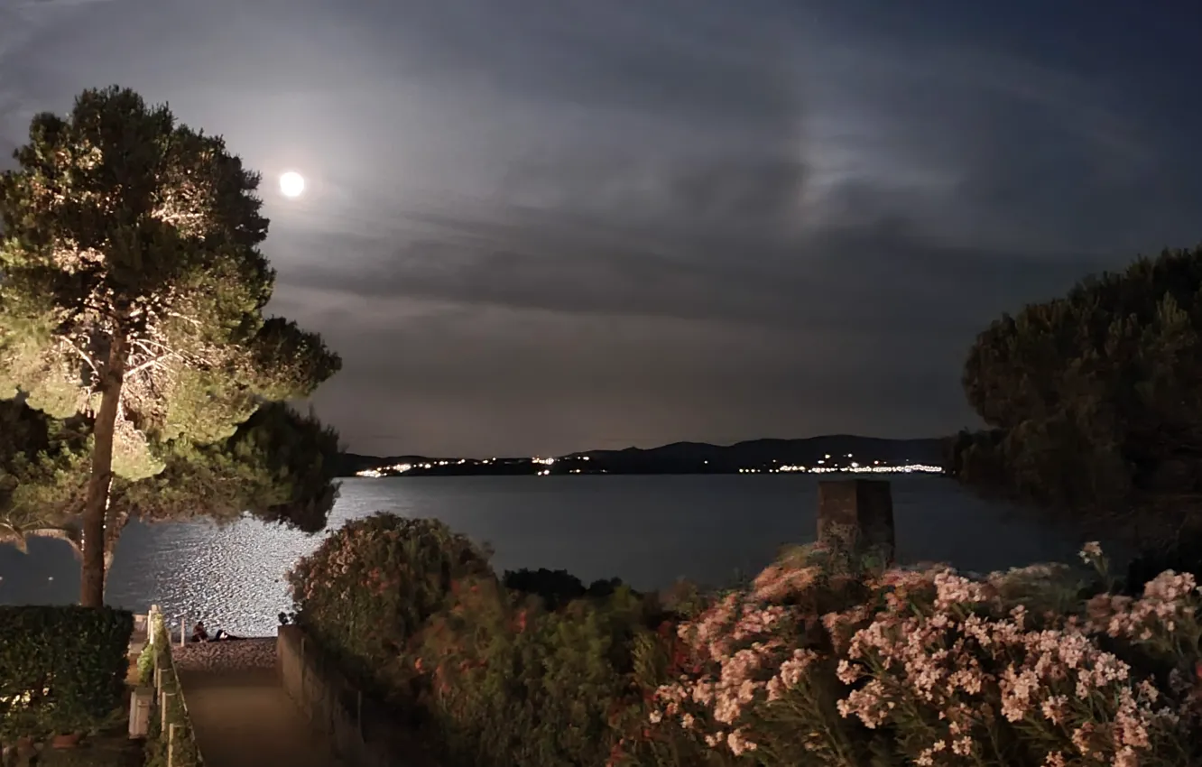 Photo wallpaper light, moon, summer, sky, sea, night, tree, darkness