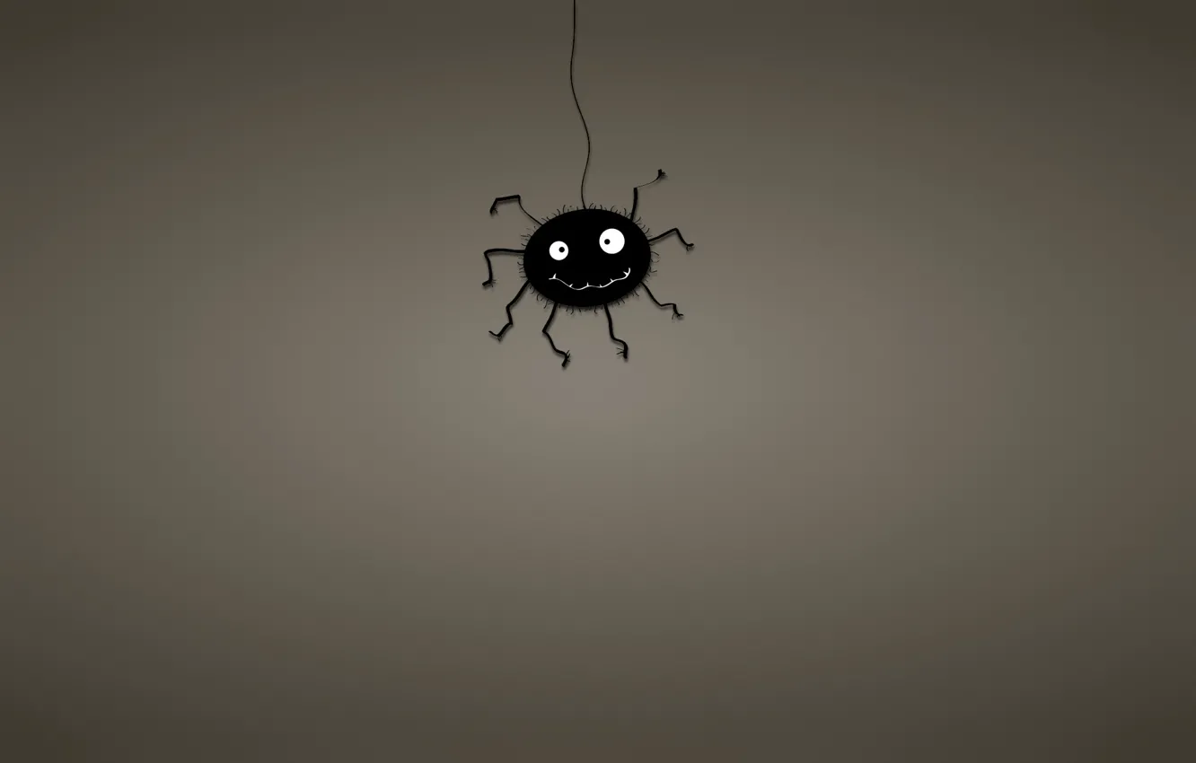 Photo wallpaper black, minimalism, web, spider, spider, dark background