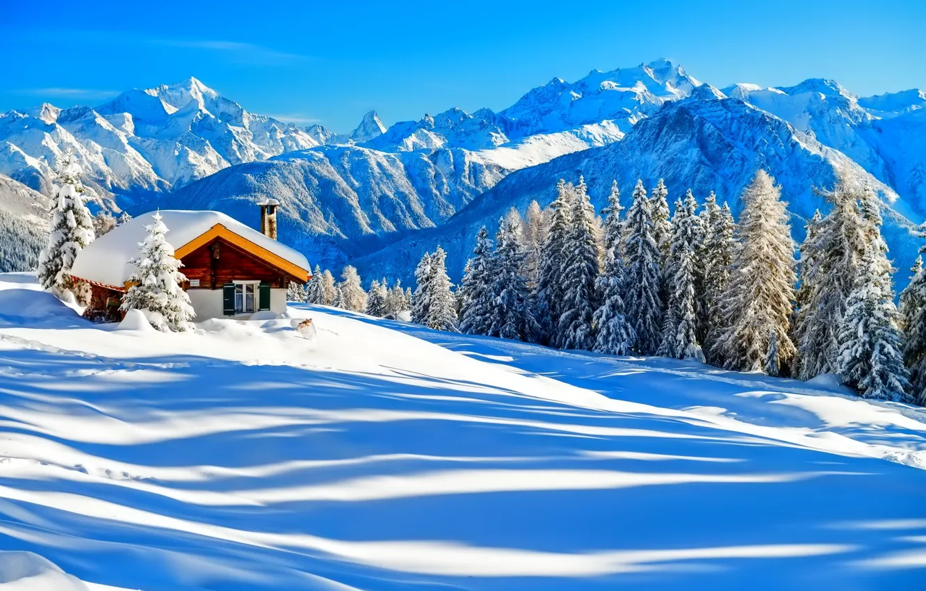 Photo wallpaper winter, forest, the sky, snow, trees, mountains, nature, house