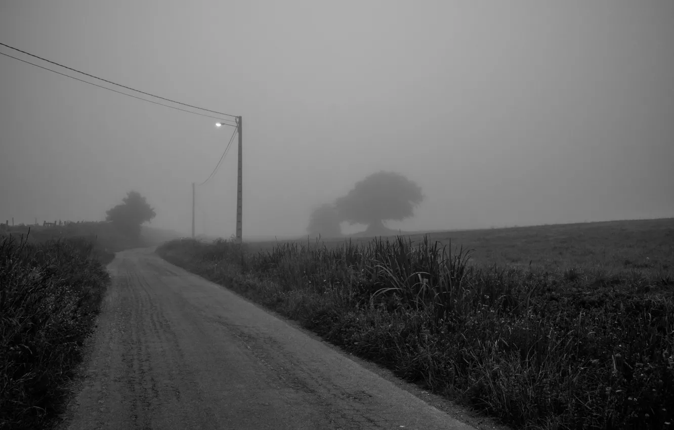 Photo wallpaper light, road, foggy, power line, farmland