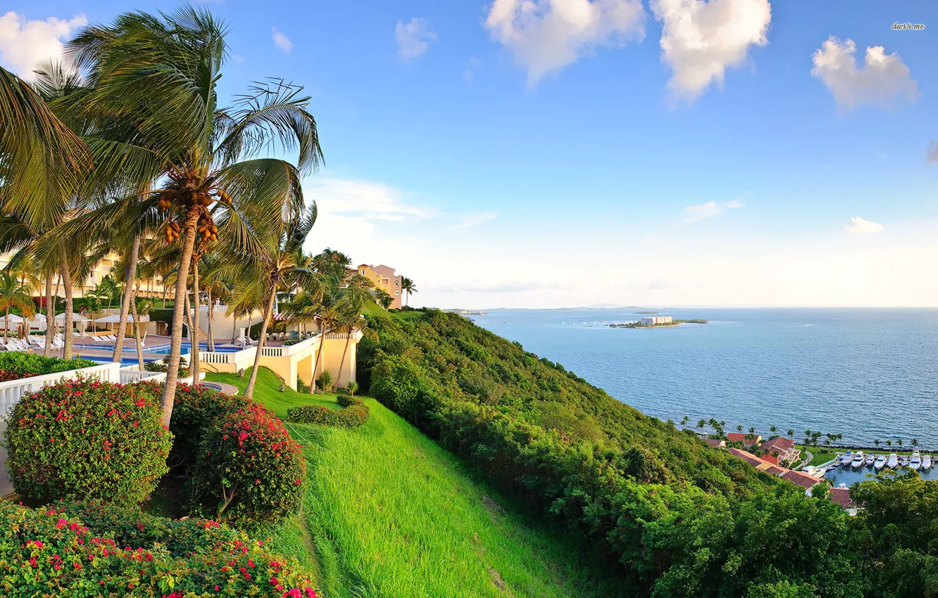 Photo wallpaper city, sea, nature