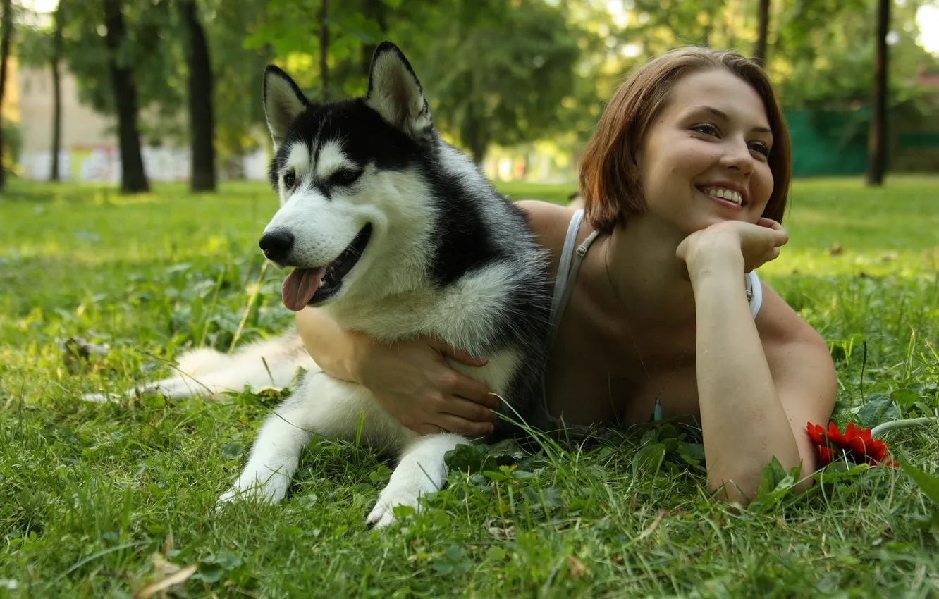 Photo wallpaper girl, each, dog, husky