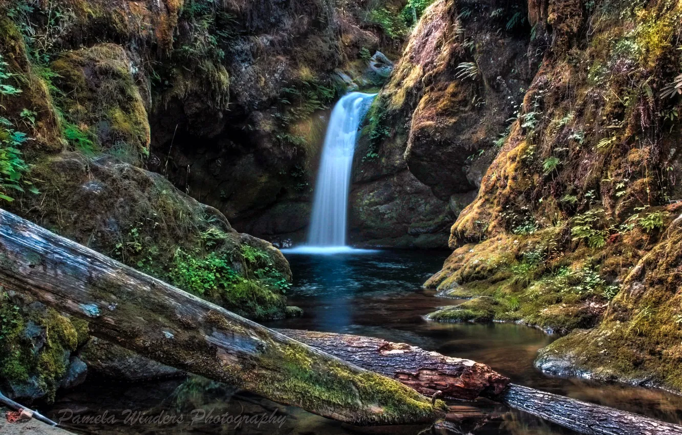 Photo wallpaper mountains, river, waterfall, moss, log, Pamela Winders