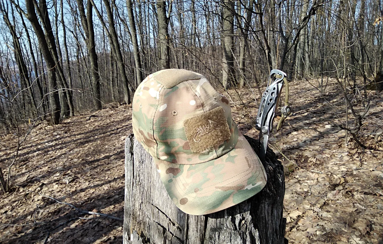 Photo wallpaper forest, knife, cap, tool
