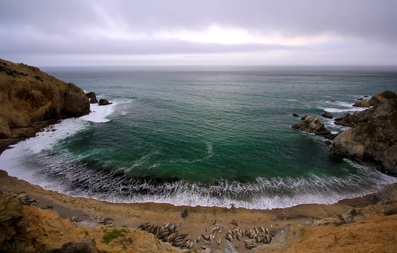 Photo wallpaper sea, the sky, rocks, Bay, surf
