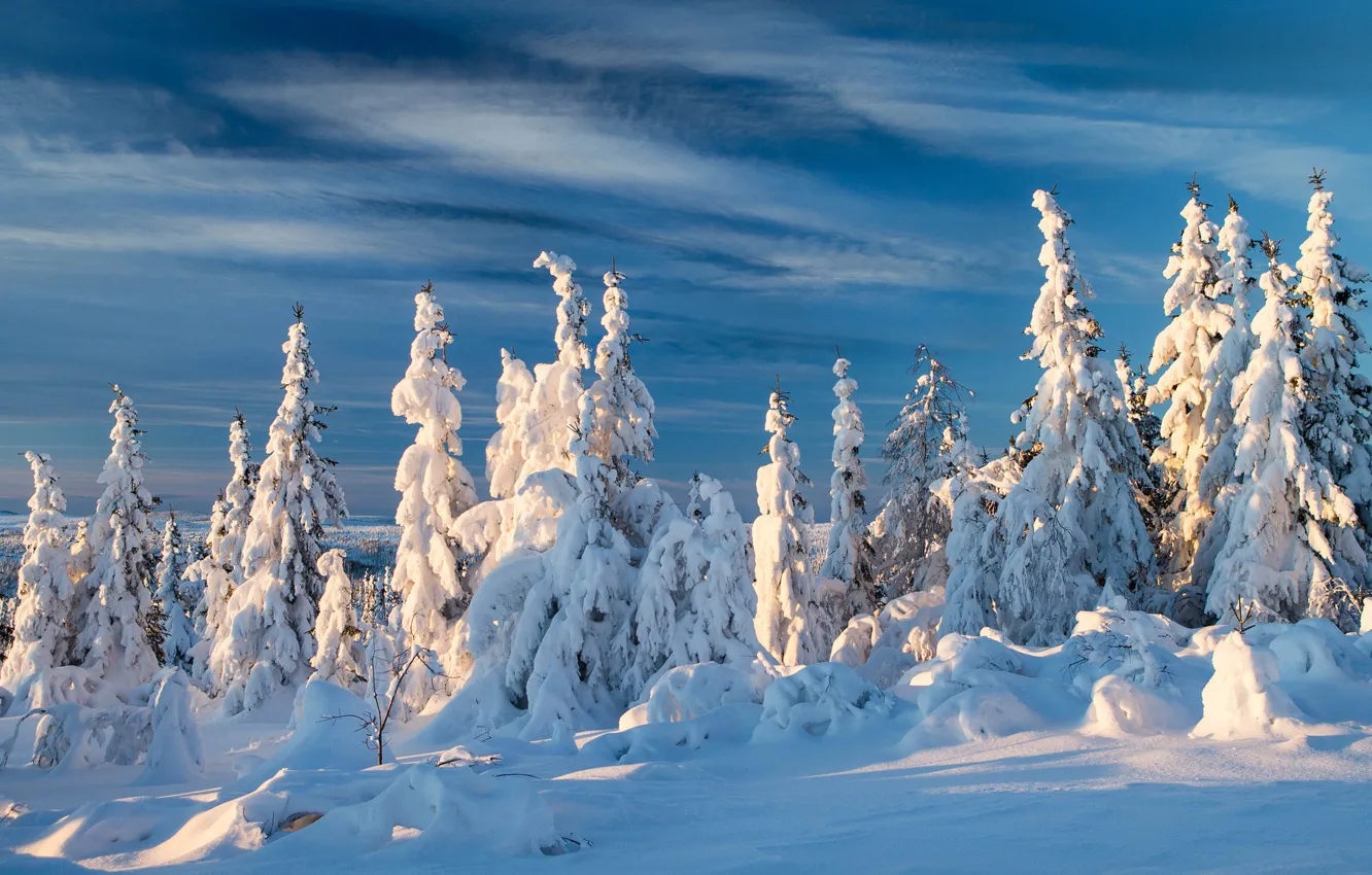 Photo wallpaper winter, snow, ate, Norway, Norway