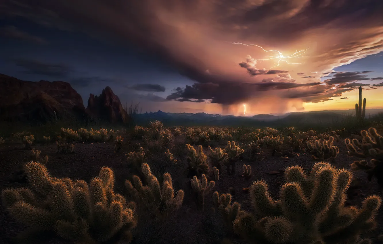 Photo wallpaper clouds, storm, zipper, desert, cacti