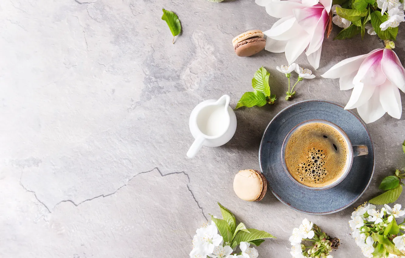 Photo wallpaper flowers, coffee, milk, macaron, Natasha Breen