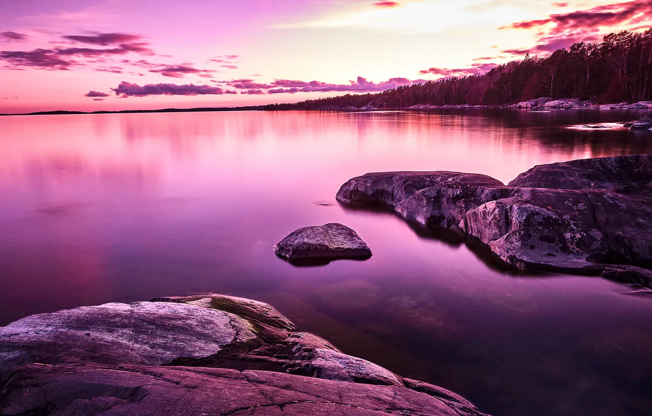 Photo wallpaper forest, the sky, clouds, trees, sunset, lake, stones, shore