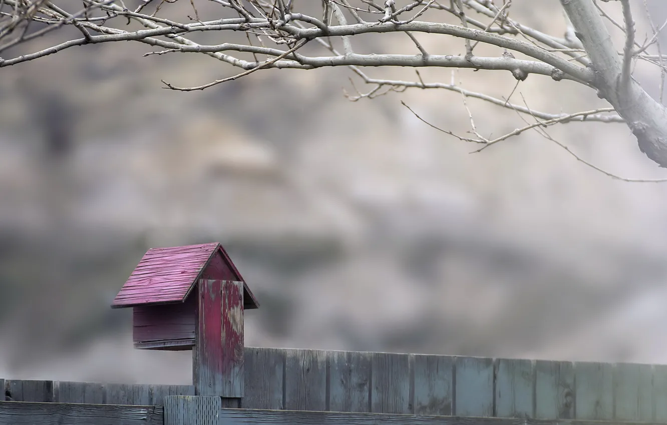 Photo wallpaper trees, the fence, house