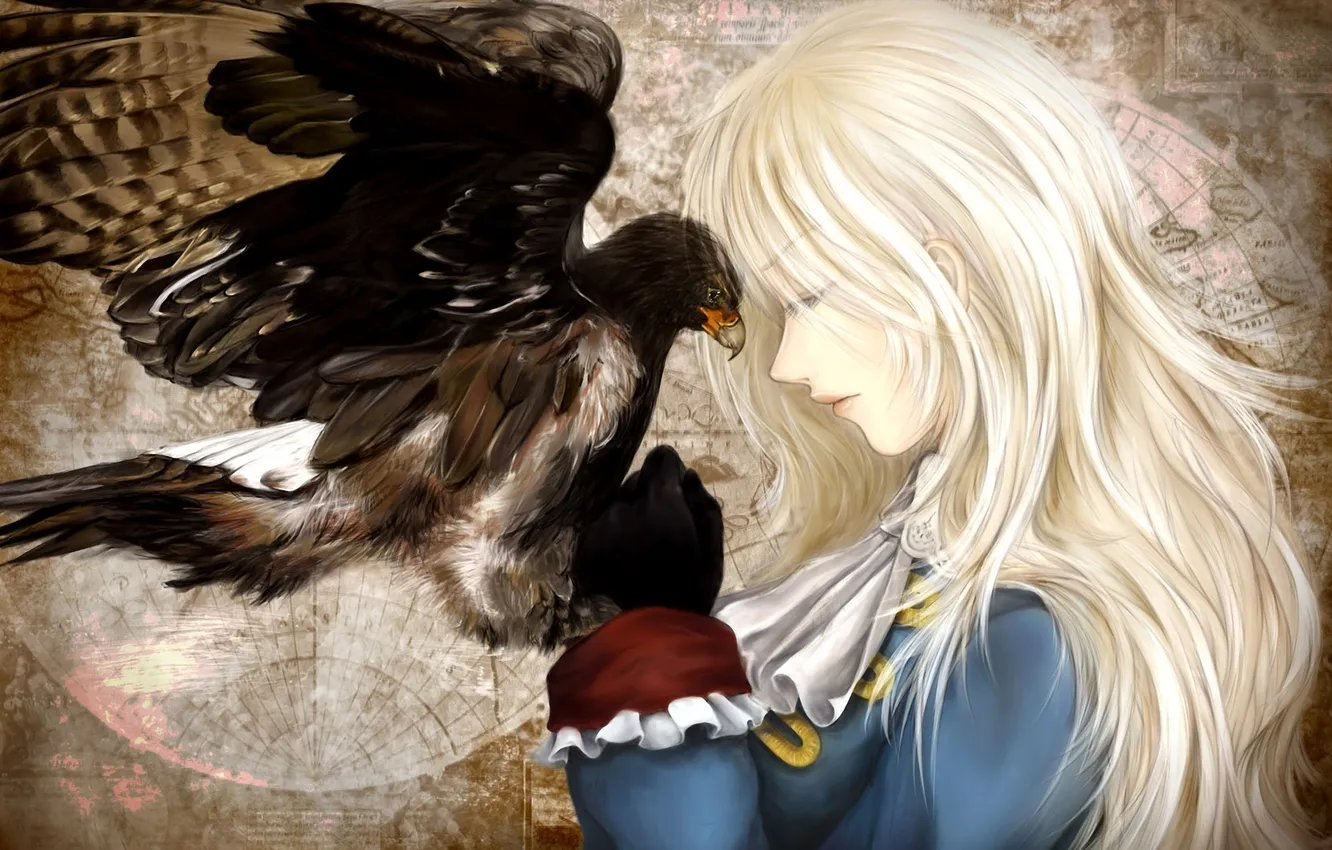 Photo wallpaper girl, bird, map, profile, hawk, axis powers hetalia, prussia