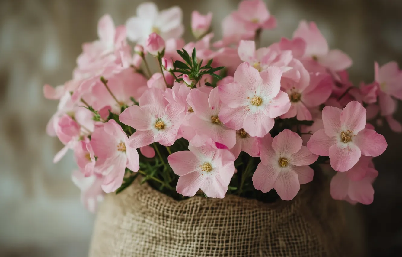 Photo wallpaper flowers, bouquet, spring, gentle, pink, a bunch, pouch, spring