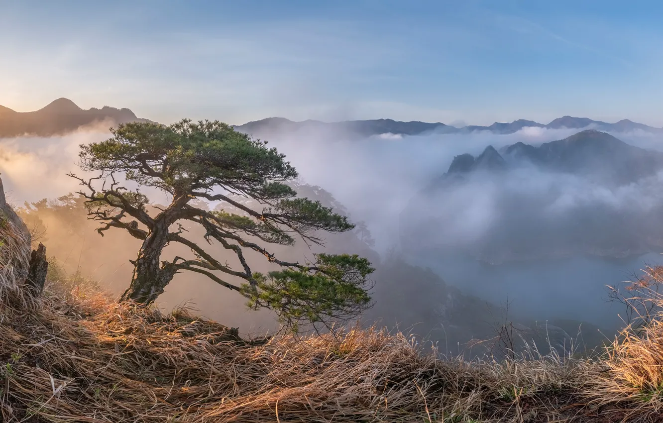 Photo wallpaper clouds, trees, landscape, mountains, nature, fog, South Korea, Jaeyoun Ryu