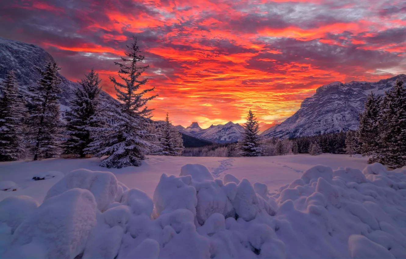 Photo wallpaper winter, snow, sunset, mountains, ate, Canada, the snow, Albert