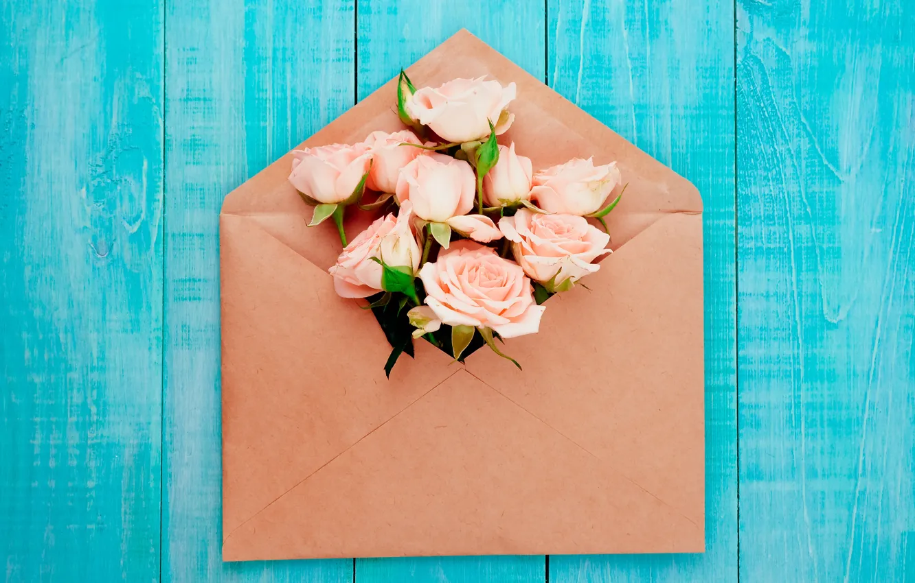 Photo wallpaper background, roses, pink, the envelope