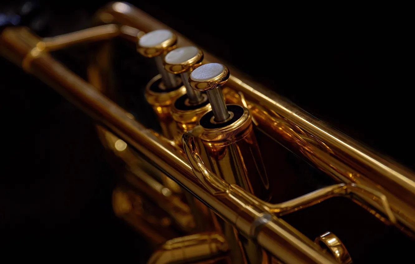 Photo wallpaper macro, music, pipe