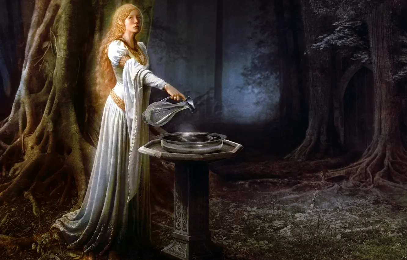 Photo wallpaper forest, bowl, mirror, the Lord of the rings, art, pitcher, elf, The Lord of the …