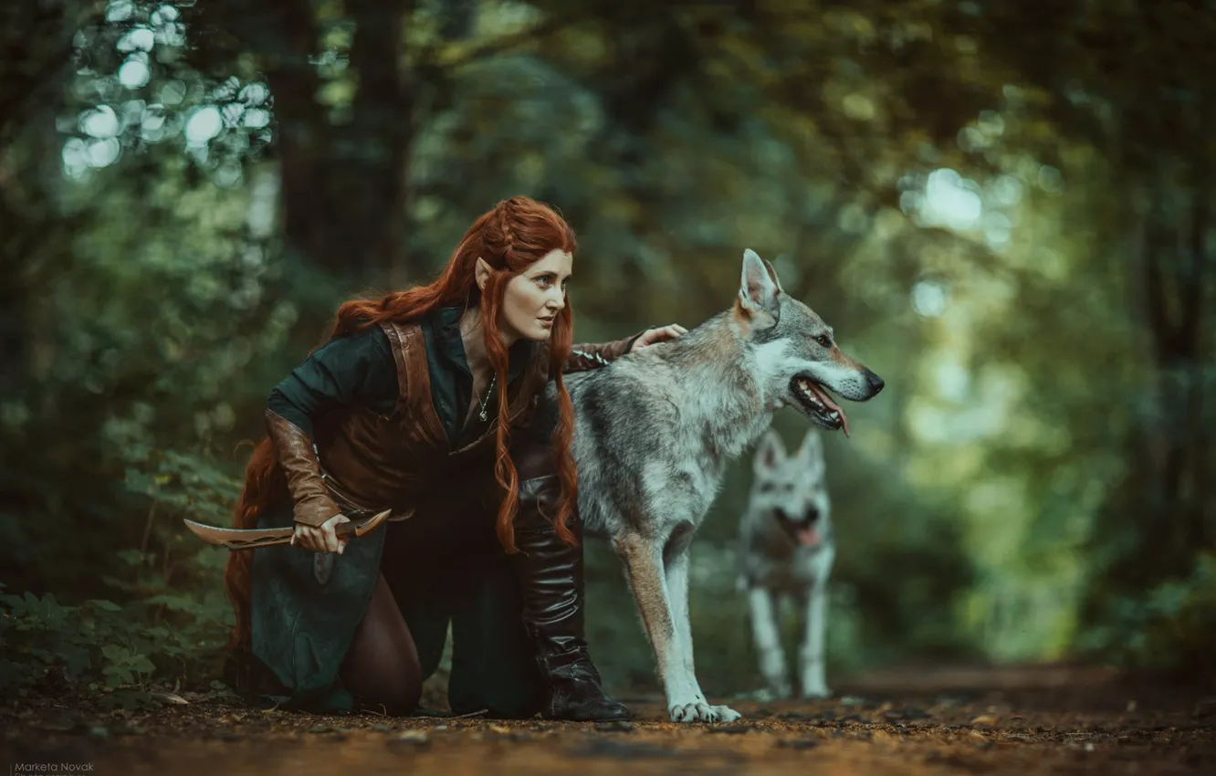 Photo wallpaper forest, dogs, girl, pose, knife, wolves, red, hunter